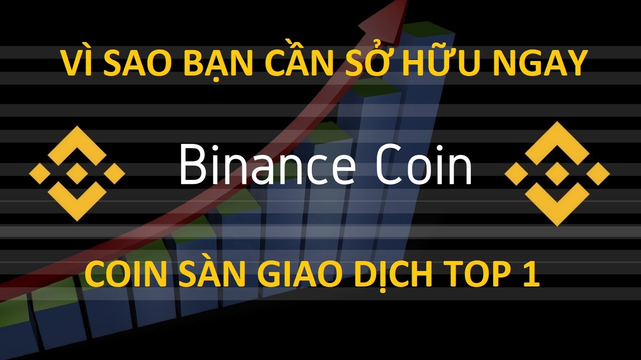 Vì sao bạn cần phải trữ ngay đồng BNB Coin ? Phân tích tiềm năng và lợi ích khi trữ đồng Binance Coin (BNB)