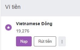 Tại Ví Vietnamese Đồng chọn Nạp