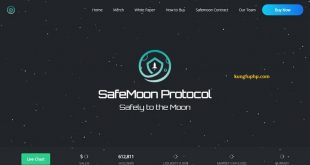 SafeMoon là gì - hướng dẫn mua Safemoon toàn tập
