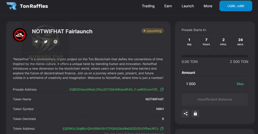 Thông tin dự án Launchpad trên Ton Raffles