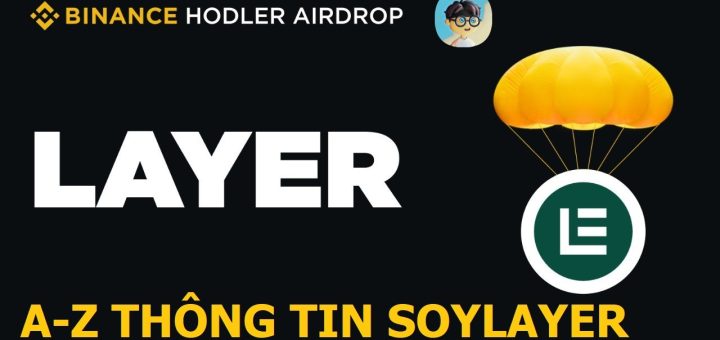 Soylayer là gì
